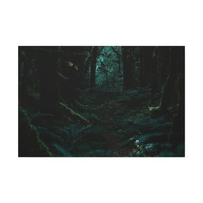 "The Mysteries of the Enchanted Forest" - The Alien Canva