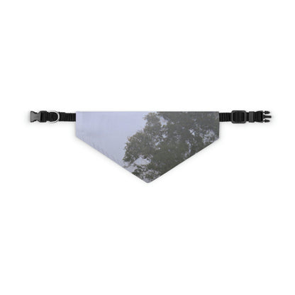 Der einsame Baum auf der nebligen Wiese - Das Alien Pet Bandana Halsband