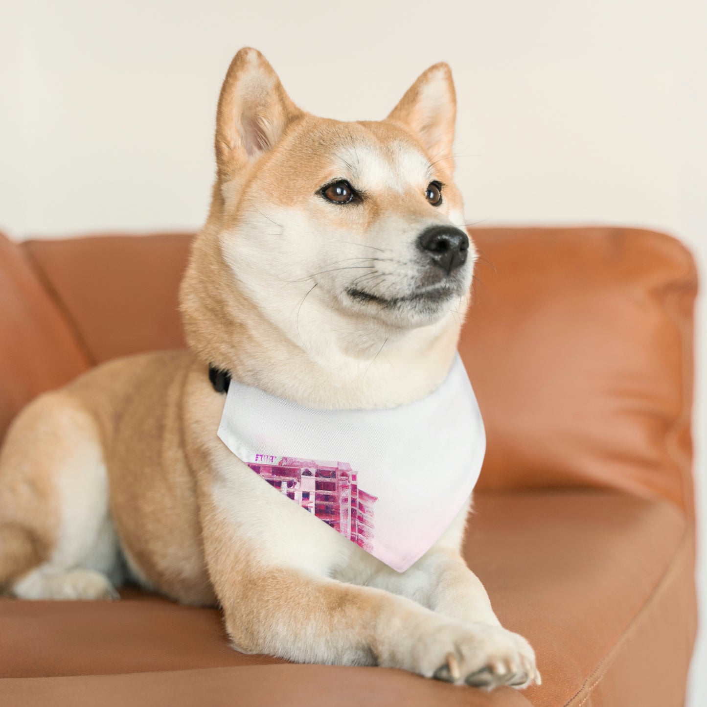 "Una mortaja de misterio: La ciudad perdida en la niebla". - El collar de bandana para mascota alienígena