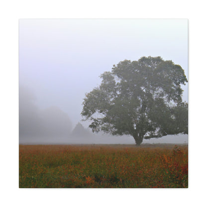 El árbol solitario en el prado brumoso - The Alien Canva