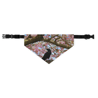 "A Blossoming Reflection" - The Alien Pet Bandana Collar