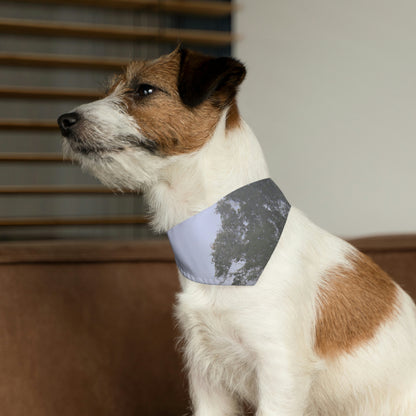 El árbol solitario en el prado brumoso - El collar de bandana para mascota alienígena