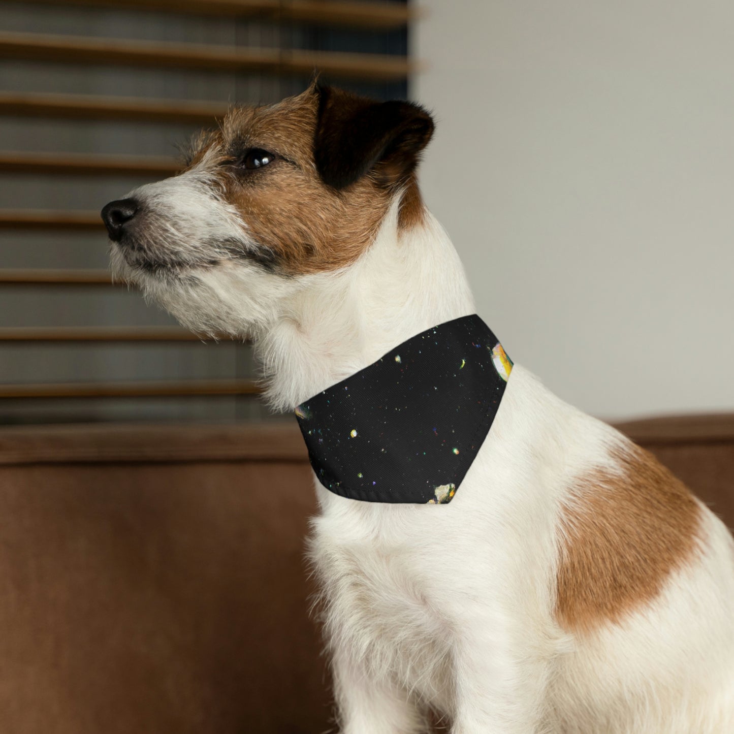 "Un alma perdida conectada con los cielos": el collar de bandana para mascotas alienígenas