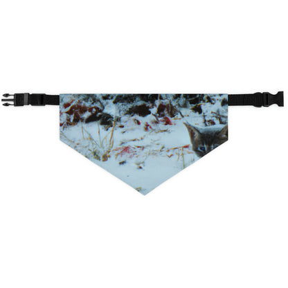 "Brave Kitten in the Frozen Storm" - Das Alien Pet Bandana Halsband