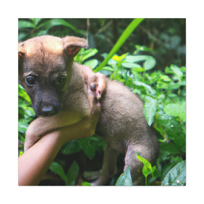 "Lost in the Woods: A Puppy's Rescue" - The Alien Canva