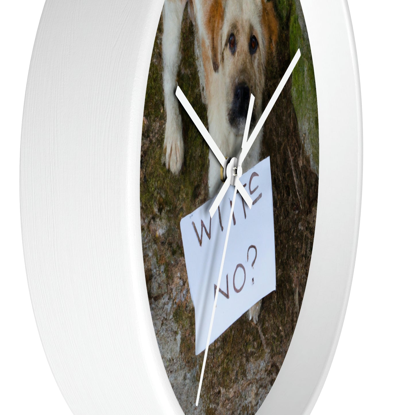 "A Heartbreaking Search: The Lost Dog's Plea for Reunion" - The Alien Wall Clock