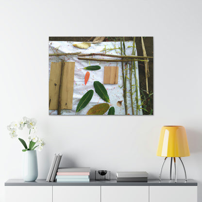 Nature's Masterpiece: Capturing the Beauty of the Outdoors Through Creative Canvases. - Canvas