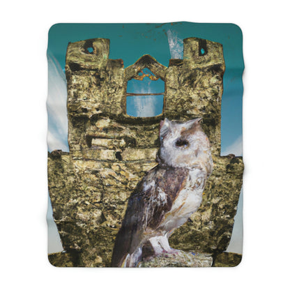 "A Sentinal Among Ruins: An Unstirred Owl's Perch" - The Alien Sherpa Fleece Blanket