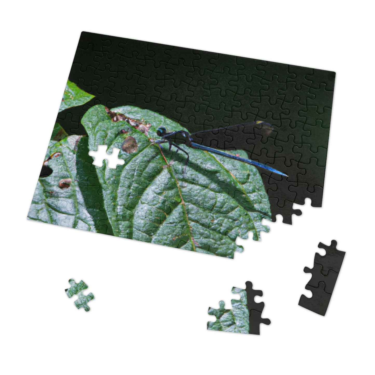 "A Moment of Transience" - The Alien Jigsaw Puzzle