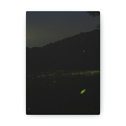 "A Thousand Fireflies in the Night Sky" - The Alien Canva