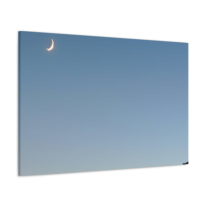 The Crescent Moon in Winter's Shadow - The Alien Canva