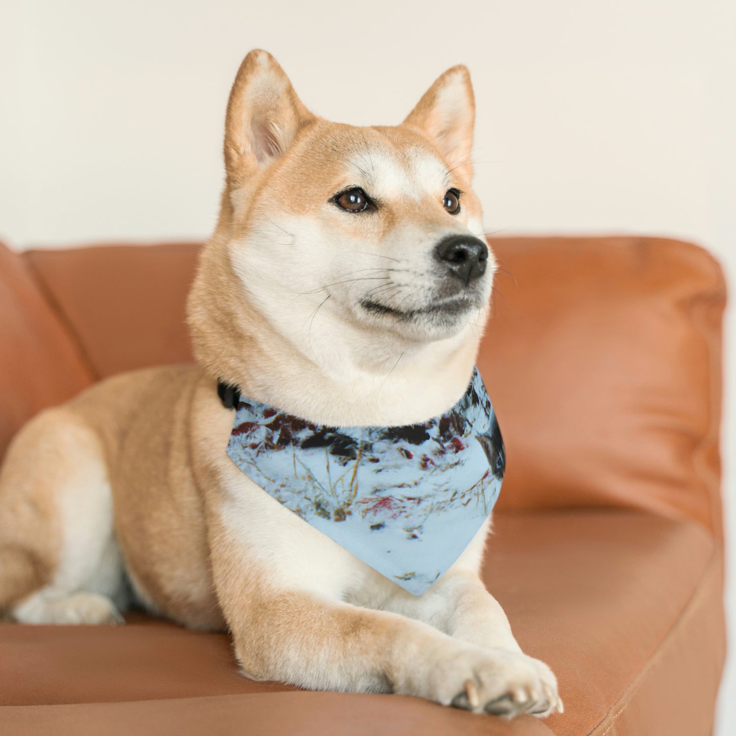 "Gatito valiente en la tormenta congelada" - El collar de bandana para mascota alienígena