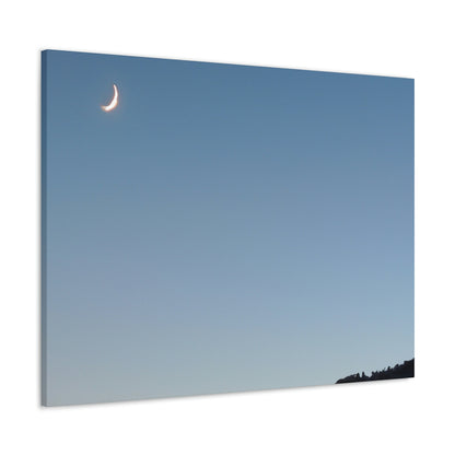 The Crescent Moon in Winter's Shadow - The Alien Canva