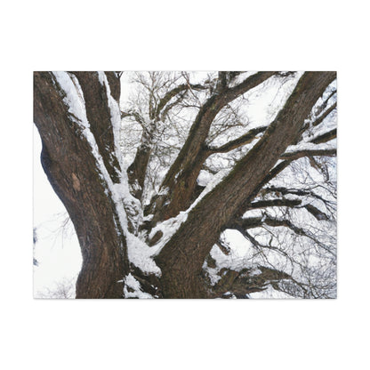 "Winter Wonderland Tree" - The Alien Canva