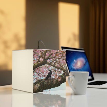 "A Blossoming Reflection" - Die Alien Light Cube Lampe