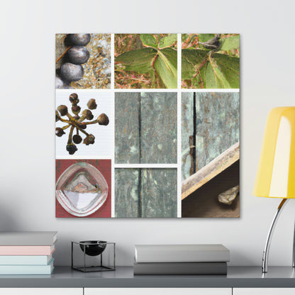 "Nature's Treasures: Celebrating the Beauty of Everyday Objects" - Canvas