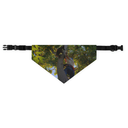 "Furry Retter in a High Perch" - Das Alien Pet Bandana Halsband