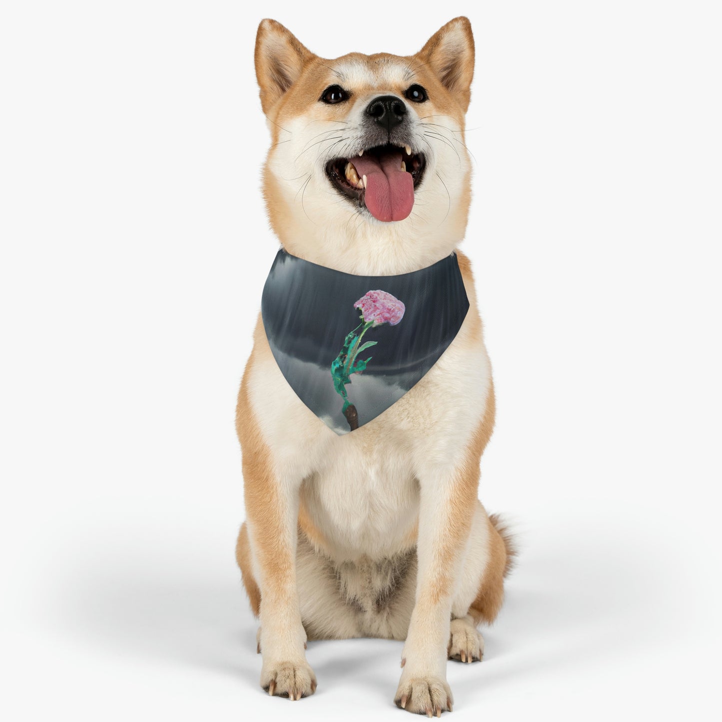 "Aight Against the Storm: La historia de una flor solitaria" - The Alien Pet Bandana Collar