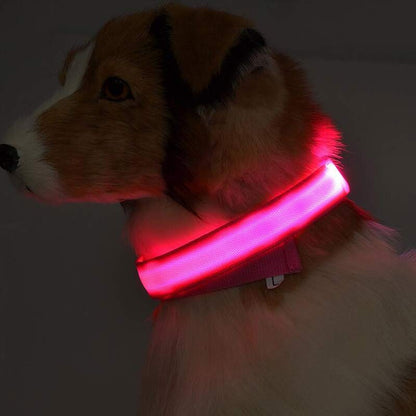 Collar luminoso LED de nailon para perros y mascotas, correa de seguridad nocturna intermitente que brilla en la oscuridad, suministros ajustables para perros y gatos