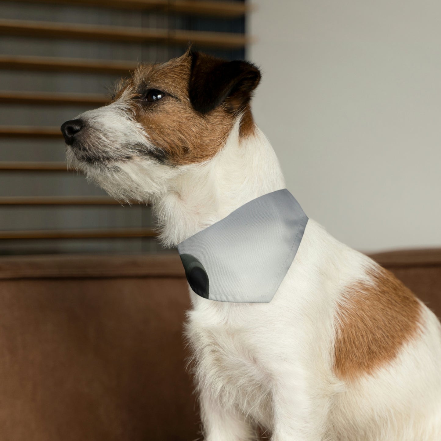 "Adrift in the Universe" - El collar de bandana para mascota alienígena