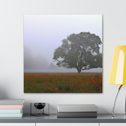 The Lonely Tree in the Foggy Meadow - The Alien Canva