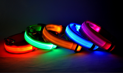 Nylon LED Haustier Hund leuchtendes Halsband Nacht Sicherheit blinkendes Leuchten im Dunkeln Hund Katze Leine verstellbare Heimtierbedarf