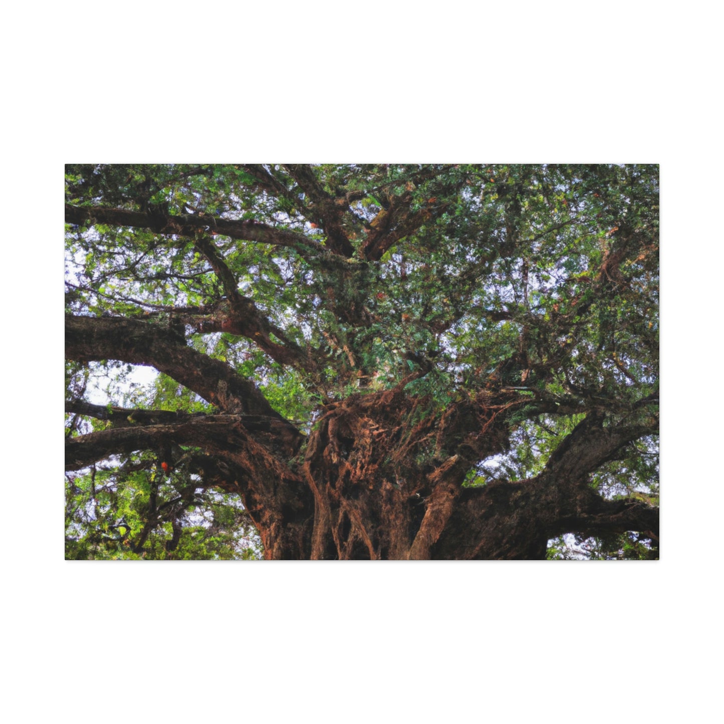 "El secreto sorprendente del árbol antiguo" - The Alien Canva