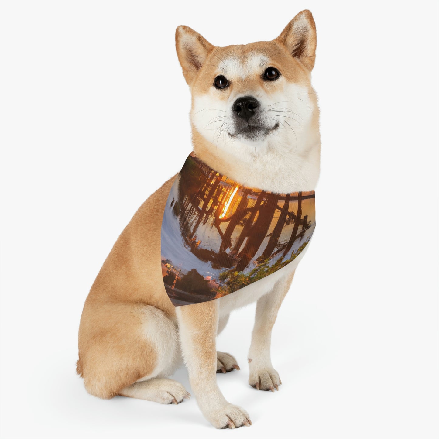 "Amanecer eterno" - El collar de bandana para mascota alienígena