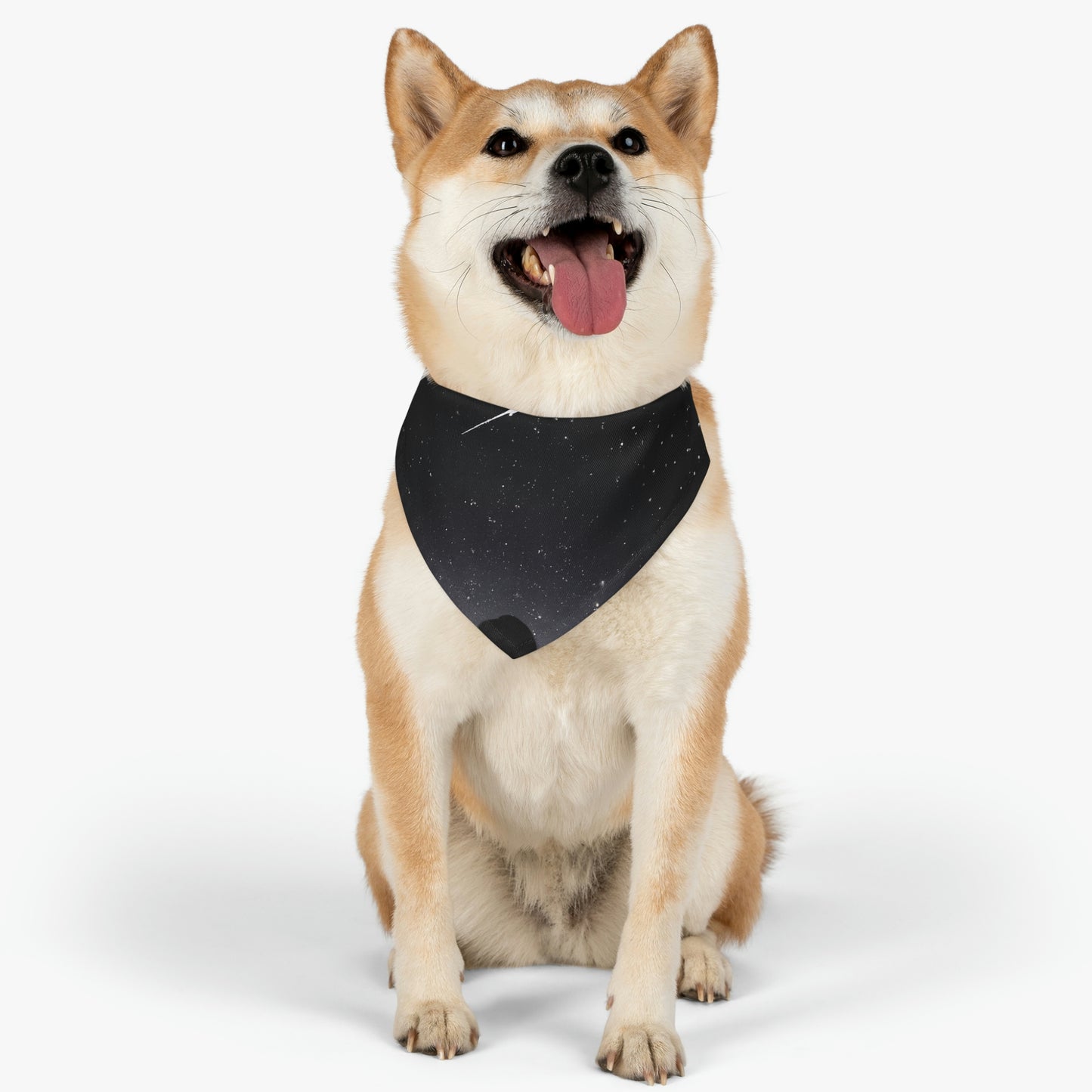 "Un deseo en los cielos" - El collar de bandana para mascota alienígena