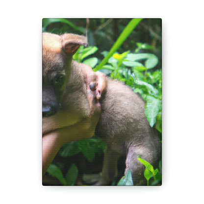 "Perdidos en el bosque: el rescate de un cachorro" - The Alien Canva