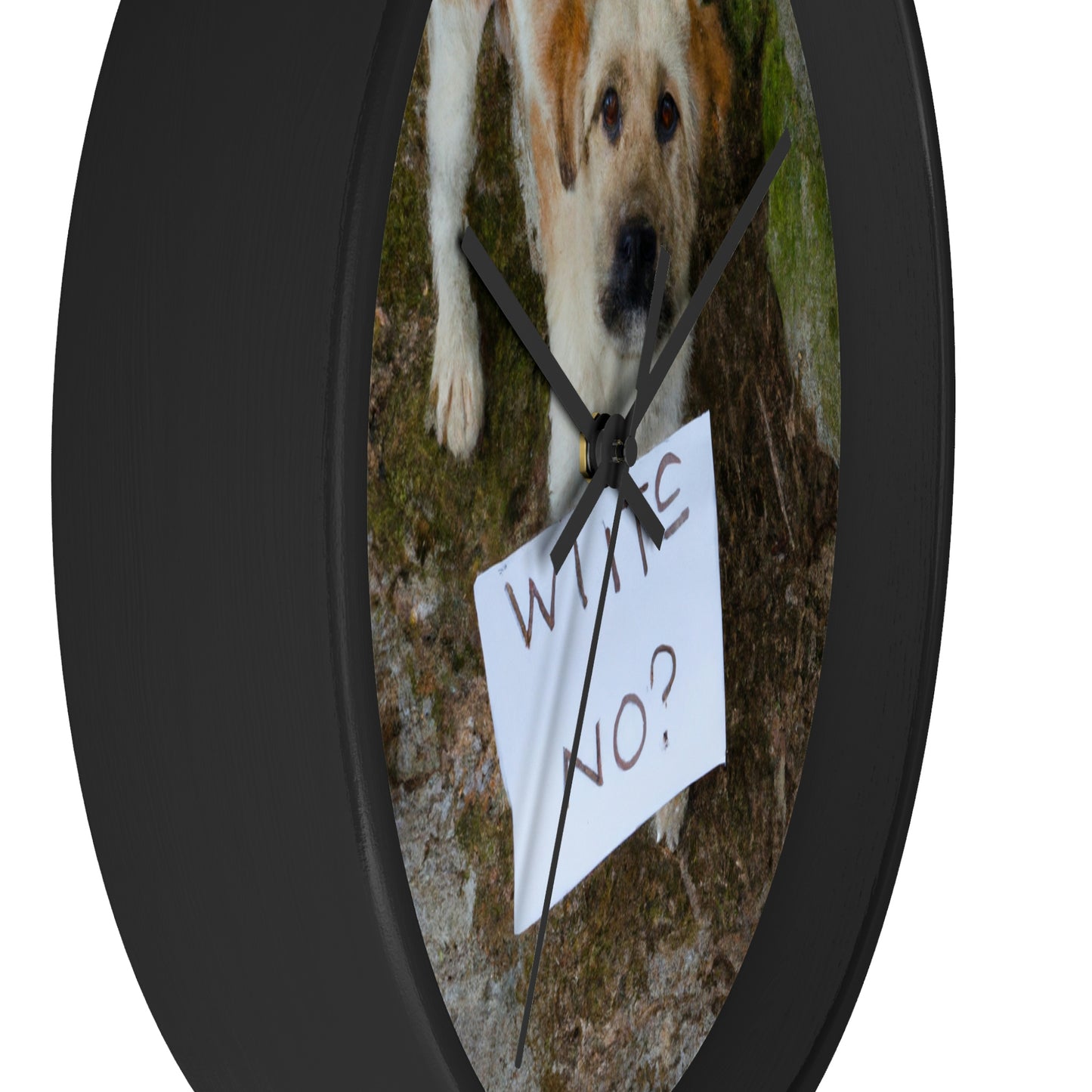 "A Heartbreaking Search: The Lost Dog's Plea for Reunion" - The Alien Wall Clock