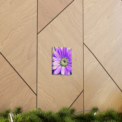 Purple Petals Popping: Create an Eye-Catching Daisy-Rose Fusion - The Alien Canva