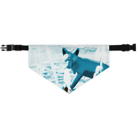 "Foxy Herumtollen im Brunnen" - Das Alien Pet Bandana Halsband