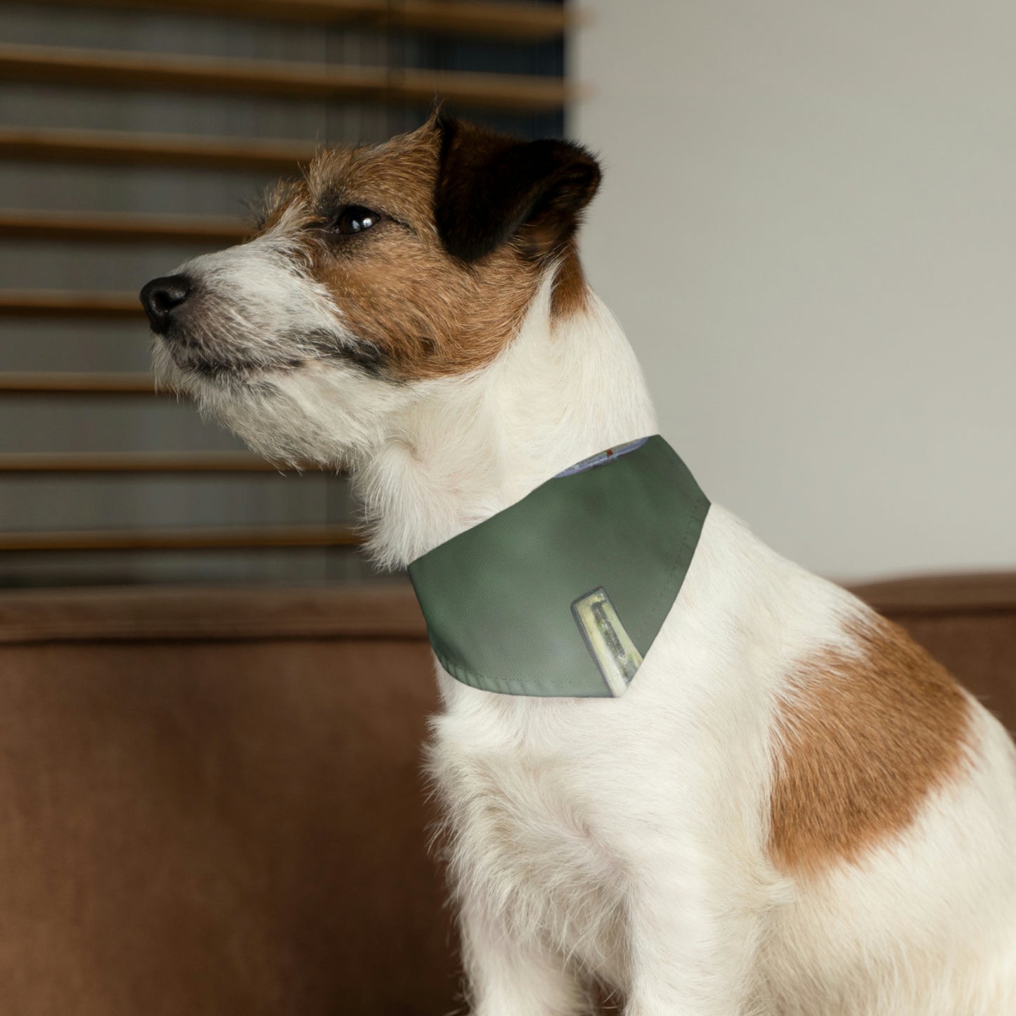 "Conundrum in the Ruins" - The Alien Pet Bandana Collar