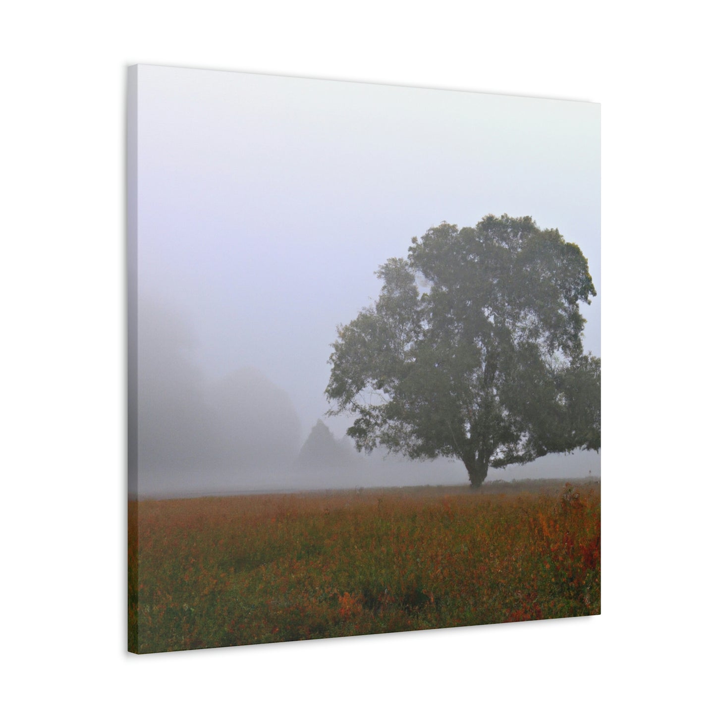 The Lonely Tree in the Foggy Meadow - The Alien Canva