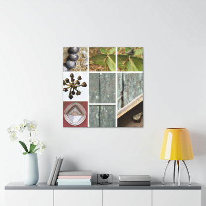 "Nature's Treasures: Celebrating the Beauty of Everyday Objects" - Canvas