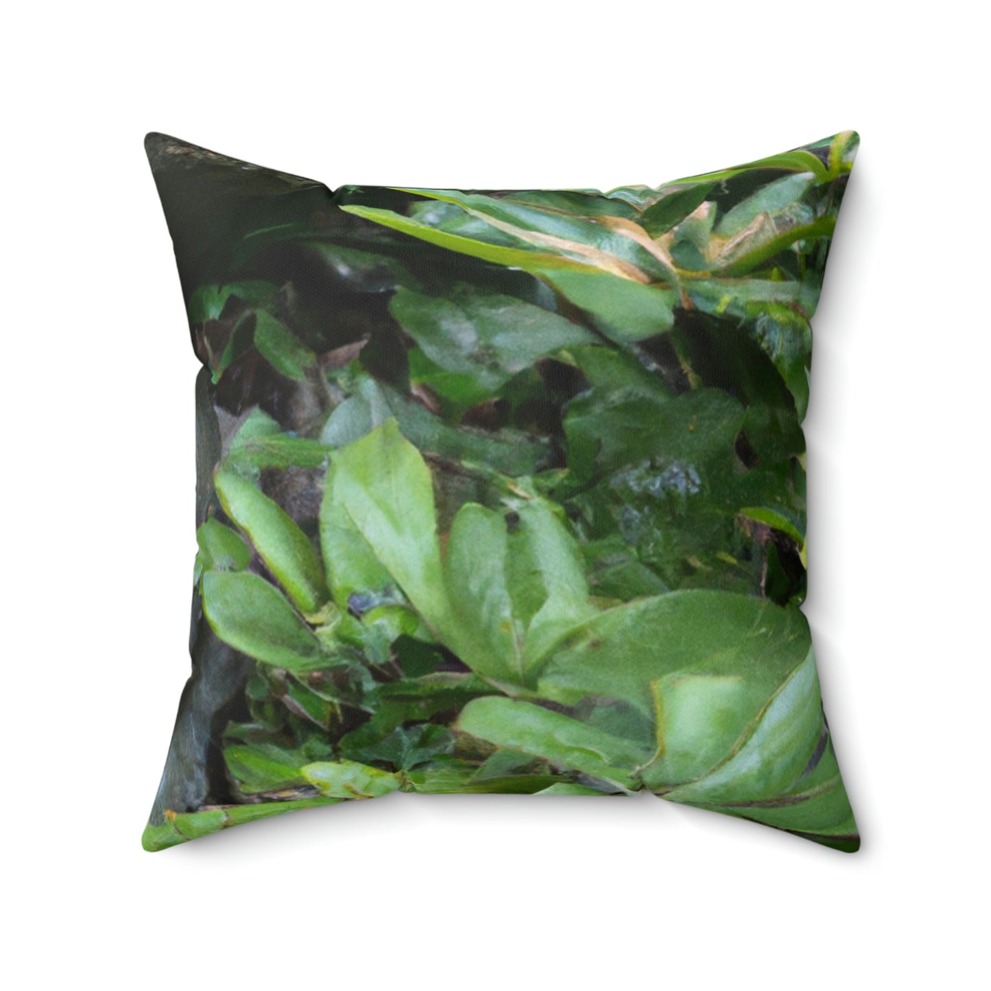 "Guardian of the Secret Garden" - The Alien Square Pillow