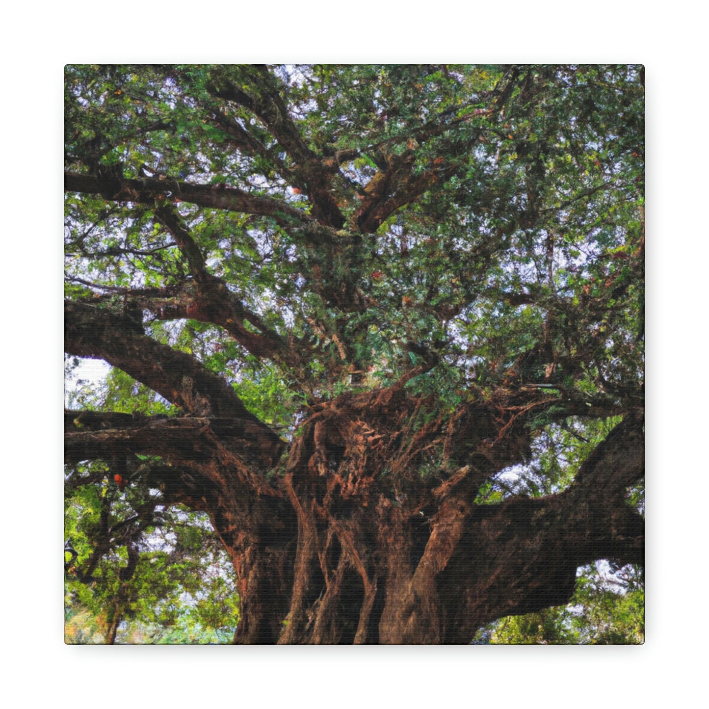 "El secreto sorprendente del árbol antiguo" - The Alien Canva