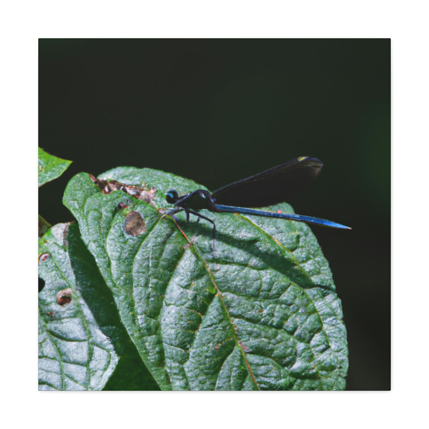 "Un momento de transitoriedad" - The Alien Canva