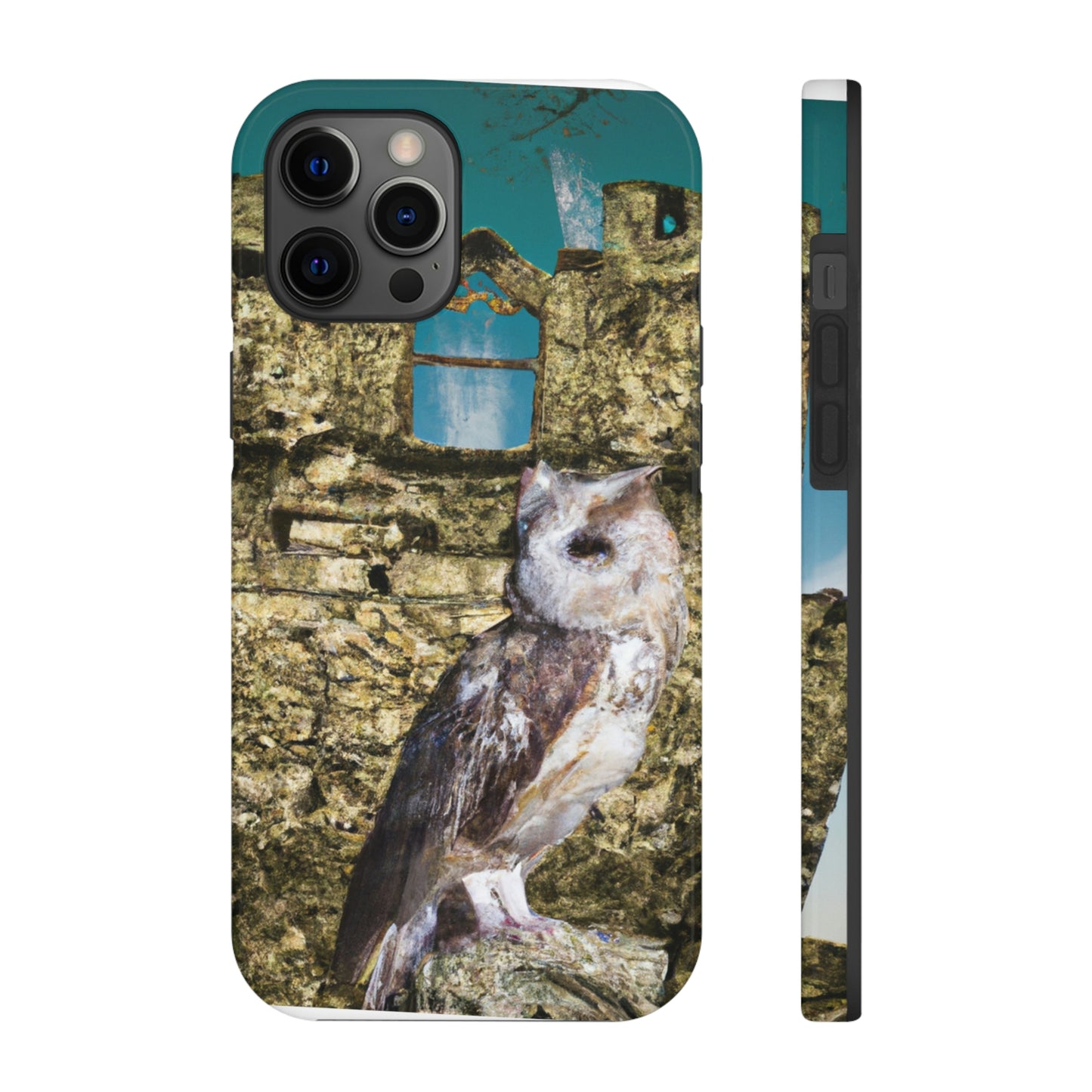 "A Sentinal Among Ruins: An Unstirred Owl's Perch" - The Alien Tough Phone Cases