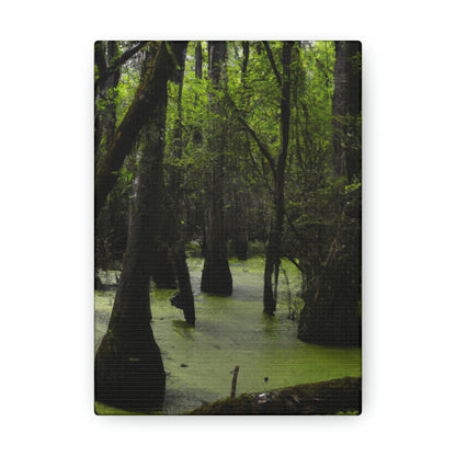 "Delving Deep into the Ancient Swamp" - The Alien Canva