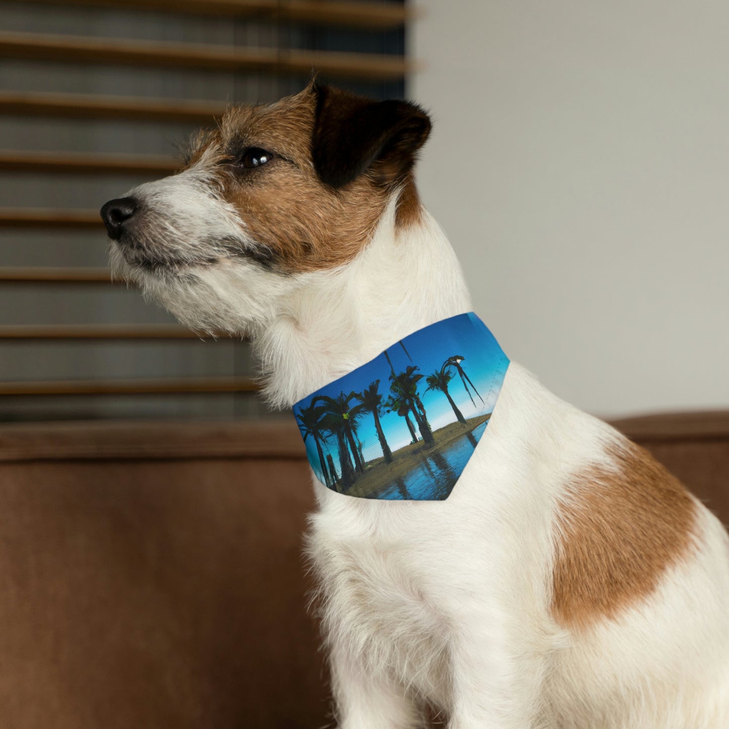 "Invasion of the Island E.T.s" - The Alien Pet Bandana Collar