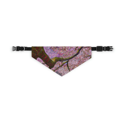 "Un momento de calma bajo las flores de cerezo" - The Alien Pet Bandana Collar