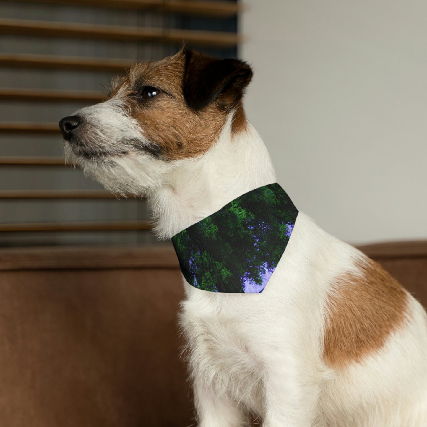 "Bajo el cielo lluvioso". - El collar de bandana para mascota alienígena