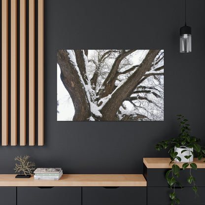 "Winter Wonderland Tree" - The Alien Canva