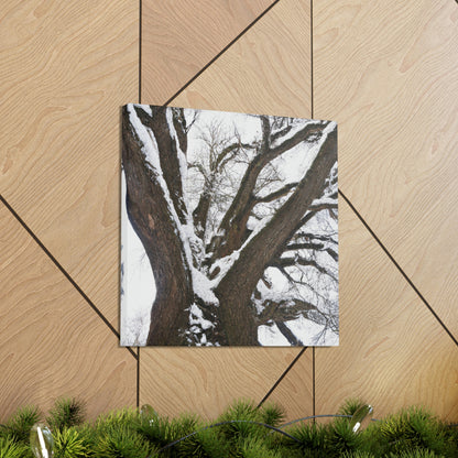 "Winter Wonderland Tree" - The Alien Canva