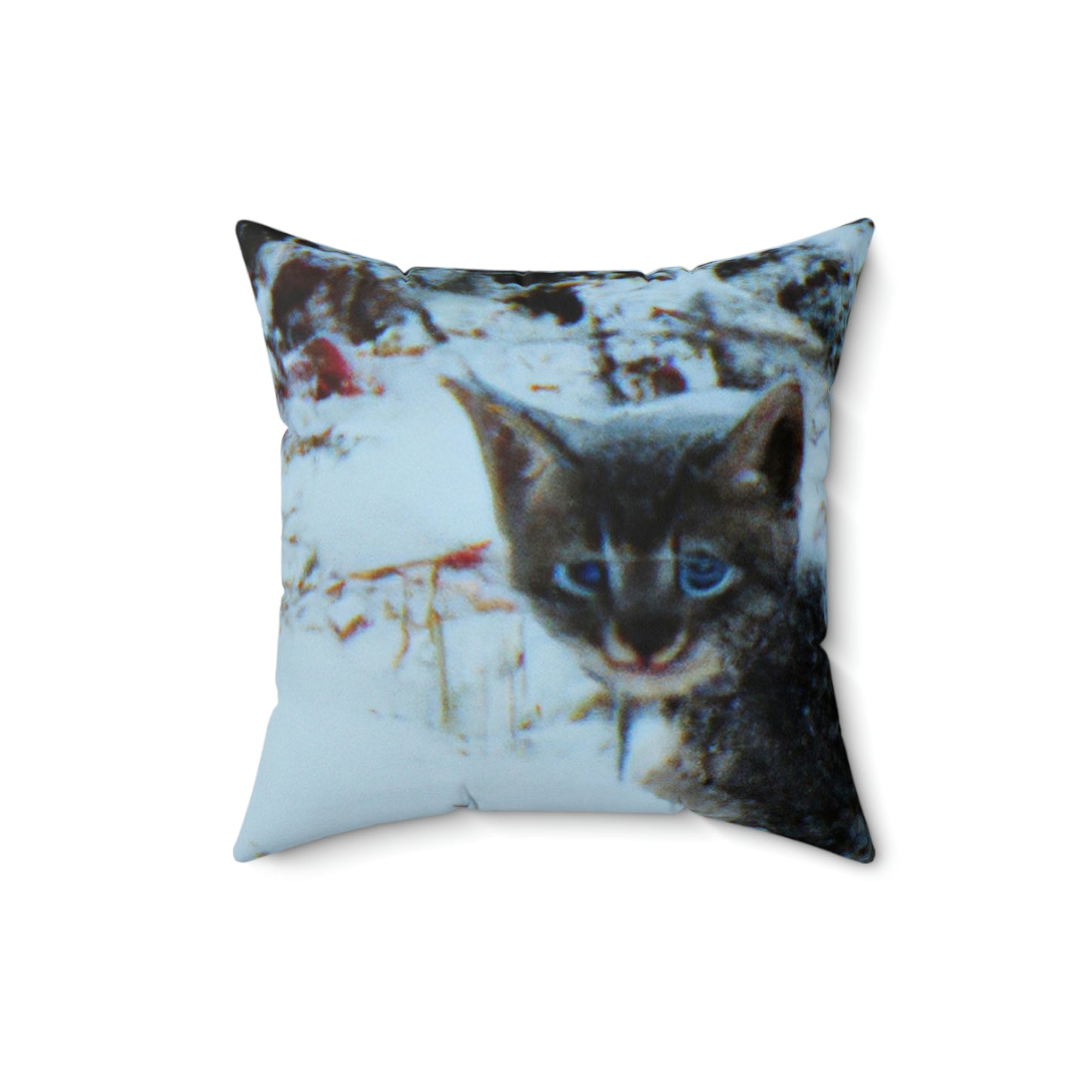 "Brave Kitten in the Frozen Storm" - The Alien Square Pillow