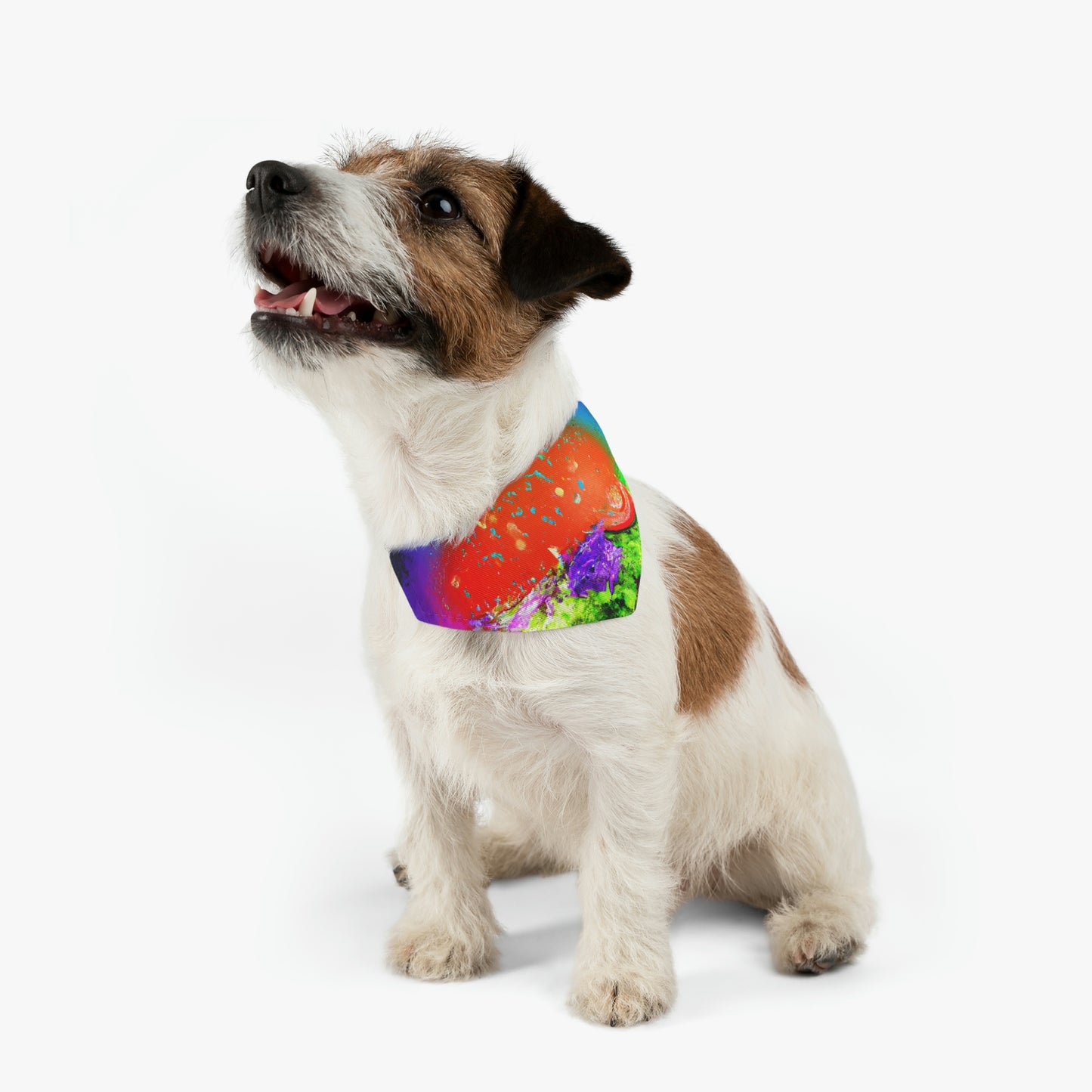 "Burger Rainbow" - Das Alien Pet Bandana Halsband