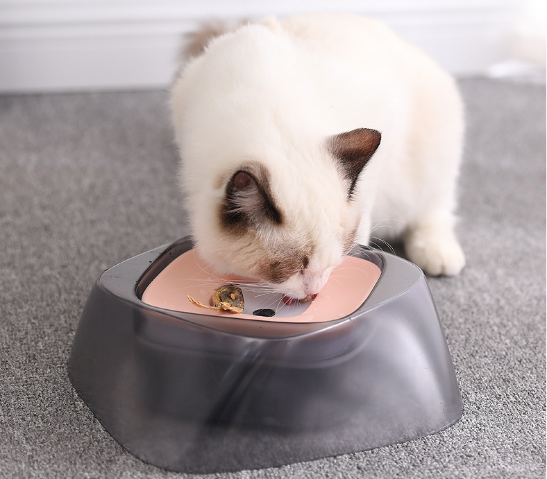 Cuenco para perro, flotante, sin mojar la boca, cuenco para gato, sin derrames, alimentador de agua potable