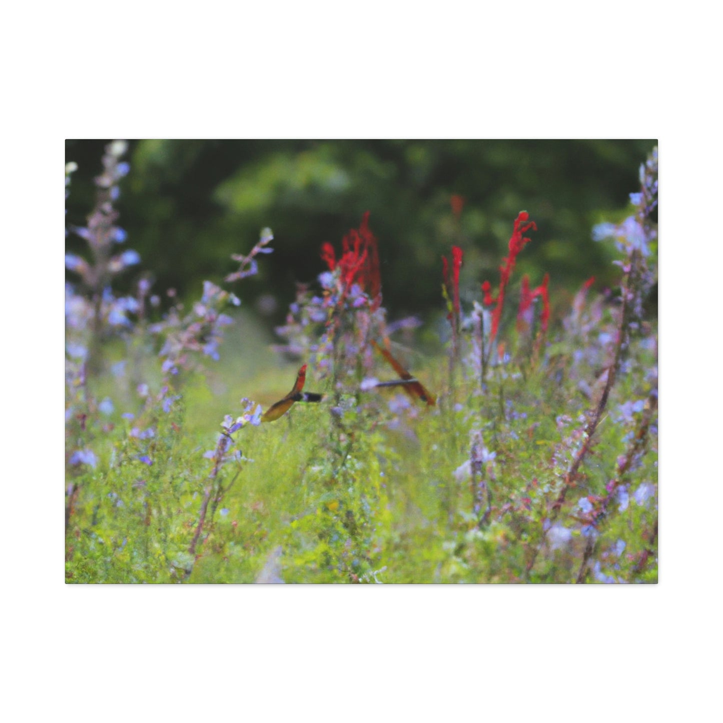 "The Dragonfly Ball in the Wildflower Meadow" - The Alien Canva